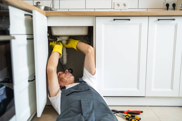 Best Clogged Drain Plumber  in Belleville, WI